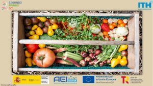 Segundo Mundo RSCC Instituto Tecnológico Hotelero Food waste